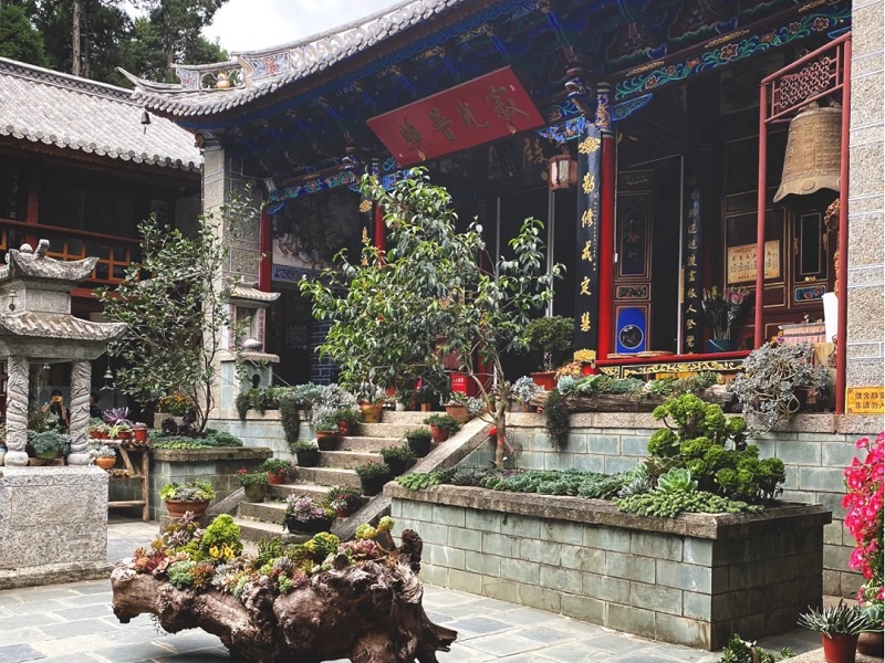 大理研學旅行