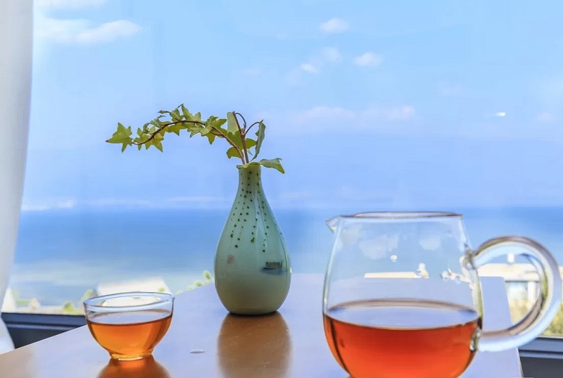 夏令營(yíng)的起源是什么？