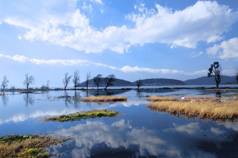天行大理夏令營(yíng)活動(dòng)能為孩子提供哪些安全保障？