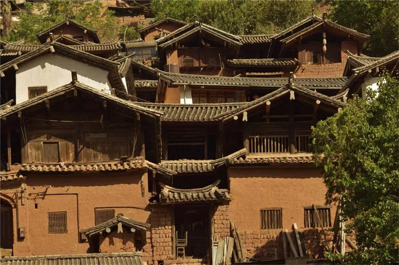 鄉(xiāng)愁大理丨諾鄧大青樹下，宿進(jìn)青蔥歲月，眺望巨木蒼天