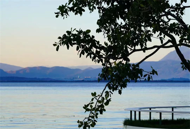 大理策劃公司:海舌，洱海邊的“寶藏公園”