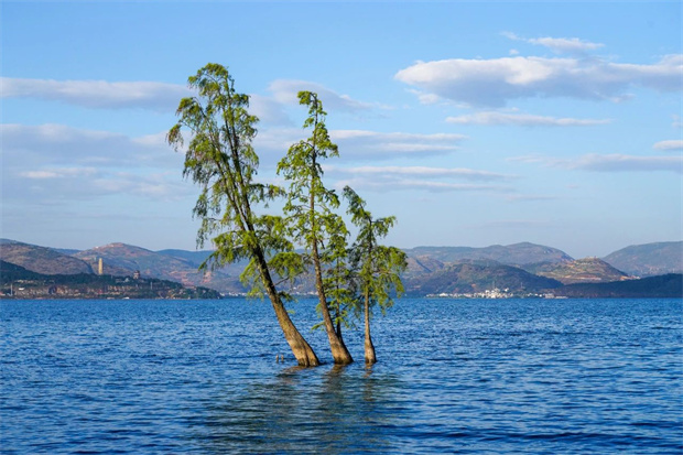 云南旅游,云南旅行社,云南團建公司,云南策劃公司,云南會議會展,云南旅游地接,大理旅游,大理旅行社,大理團建公司,大理策劃公司,大理會議會展：避暑，為什么要去大理？
