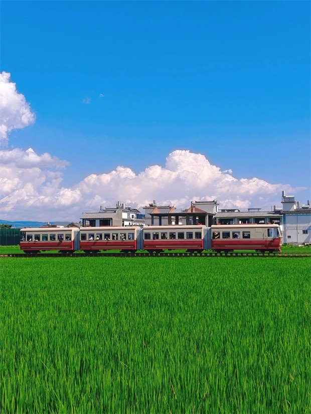 大理旅游,大理旅行社,大理團建公司,大理策劃公司,大理會議會展,云南旅游,云南旅行社,云南團建公司,云南策劃公司,云南會議會展：坐上喜洲稻田小火車，一秒進入動漫畫卷